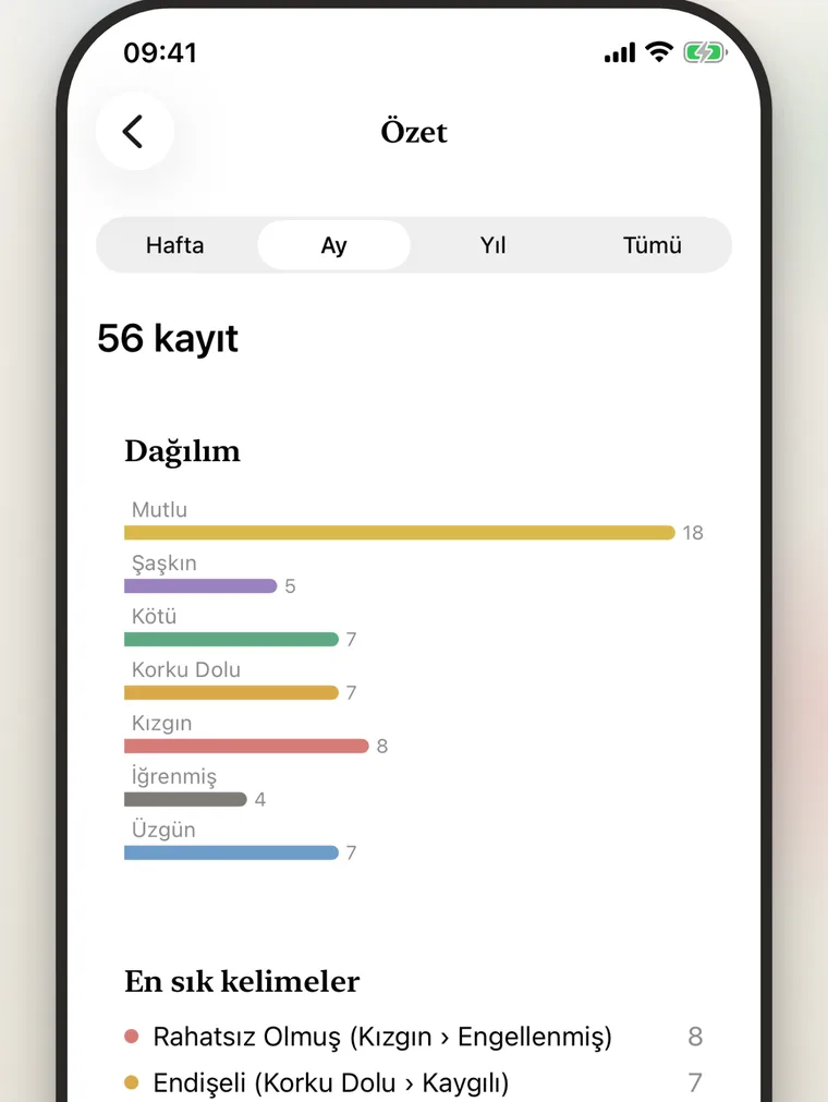 Yedi özet ekranı: duyguya, saate ve etikete göre sayımlar