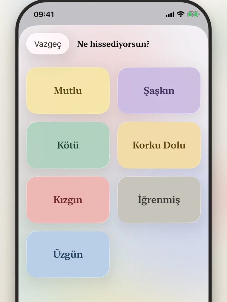 Yedi'de yedi çekirdek duygu kartı